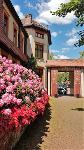 MM Spa Pańska Góra w Jaworznie - Masaże, Sauna, Spa, Basen